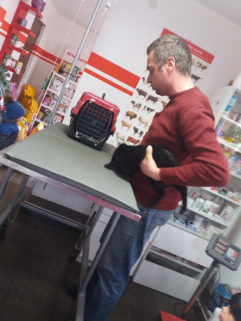 veterinar-3