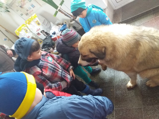 veterinar-8