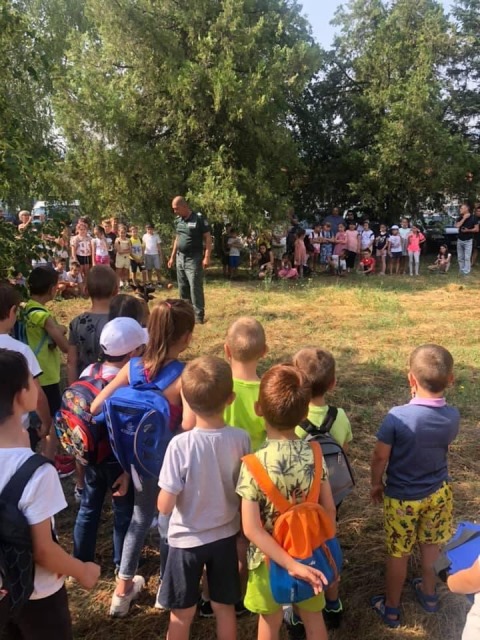 lozno-05