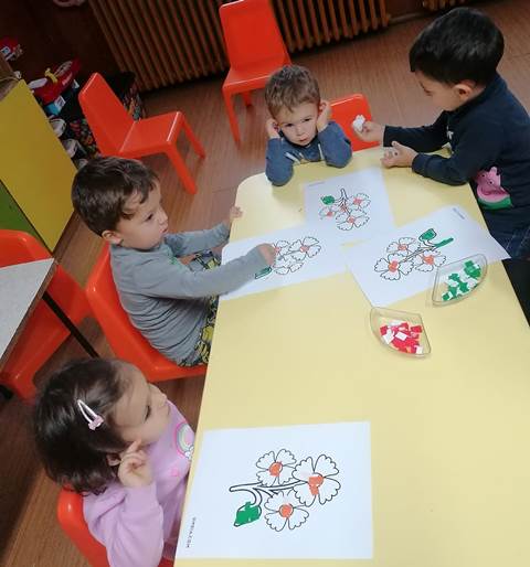 cvete-13