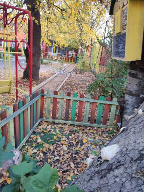 praktika-28