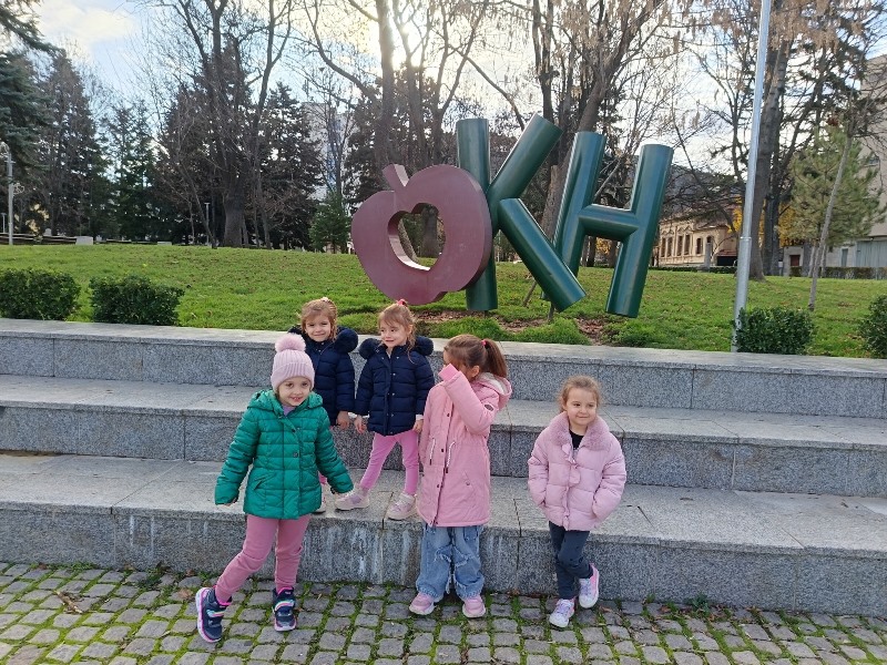 idva-5