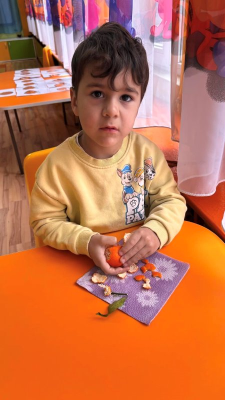 mandarina-3