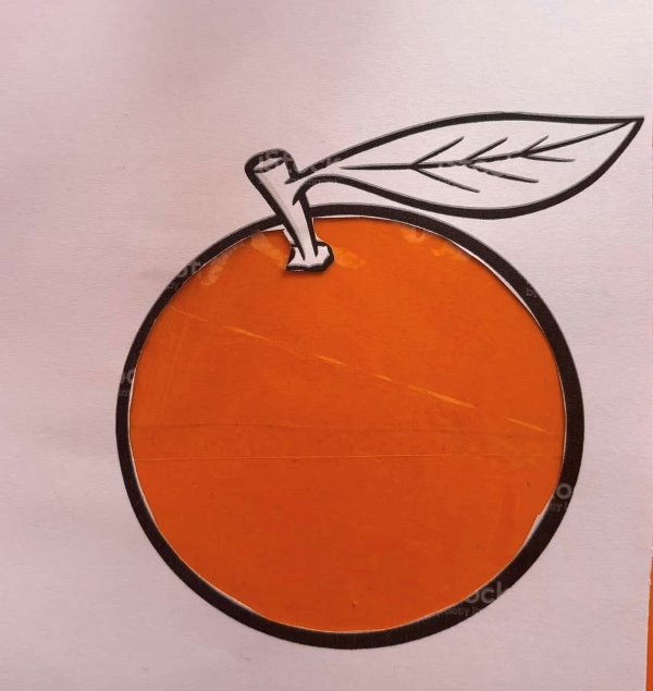 mandarina-7