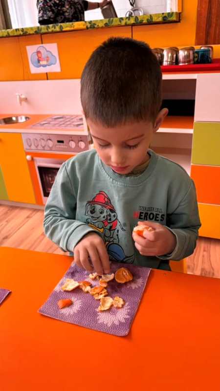 mandarina-9