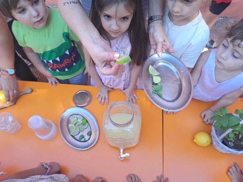 limonada-01