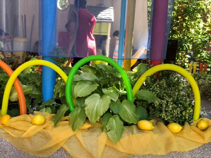 limonada-09