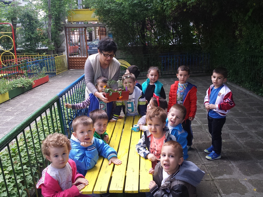 da-posadim kokiche 4