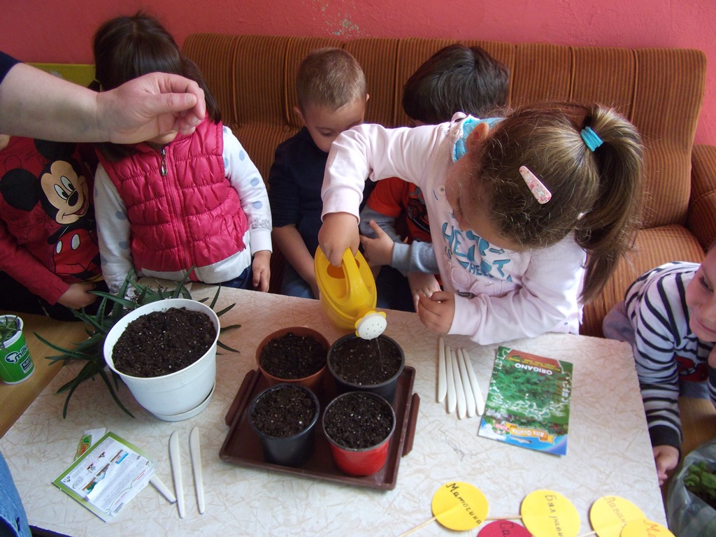 da-posadim snejanka 09