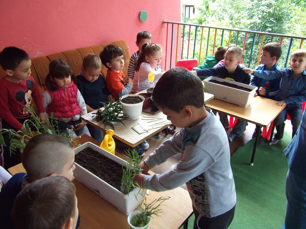 da-posadim snejanka 13
