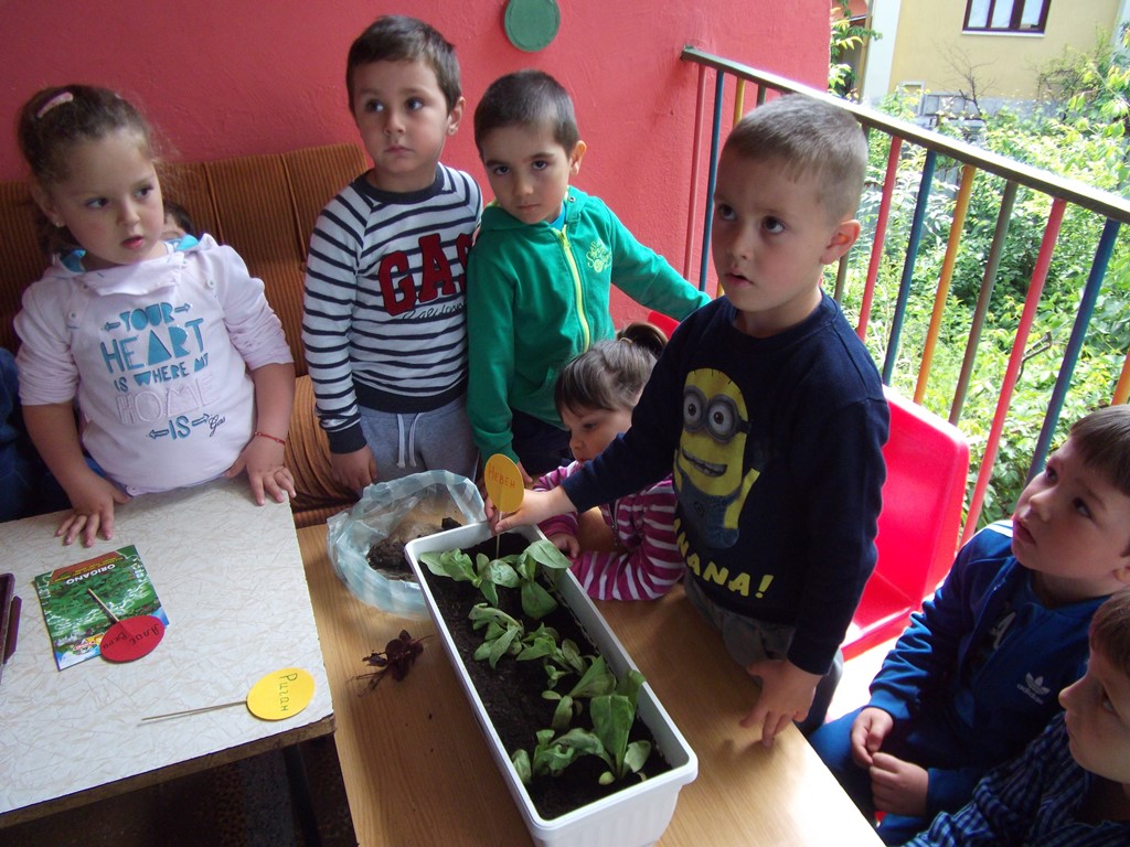 da-posadim snejanka 24