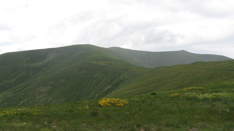 crna-reka-sadjenik 3