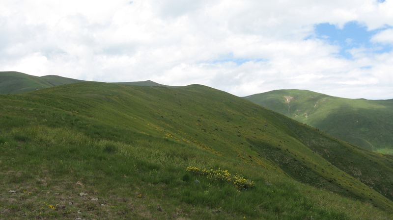 crna-reka-sadjenik 5