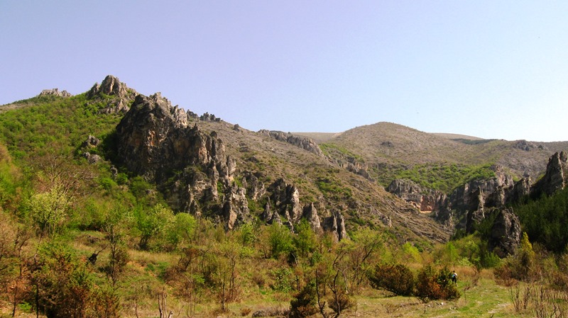 shegava 01