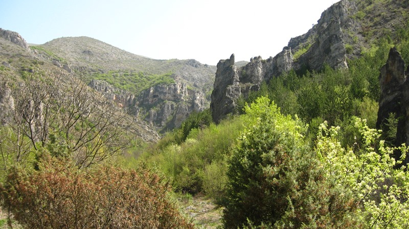 shegava 02