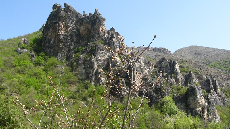 shegava 03