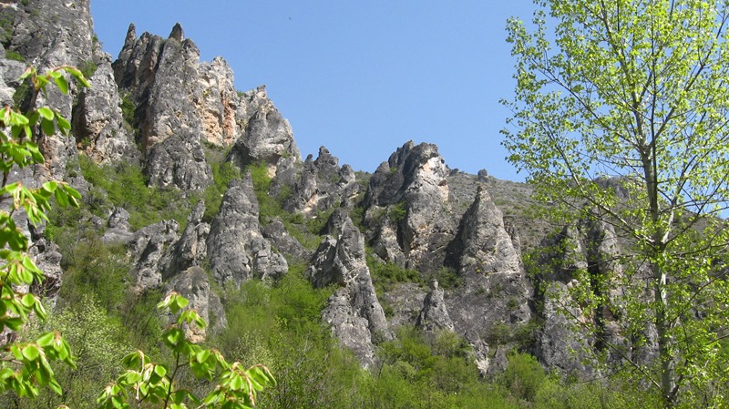 shegava 06
