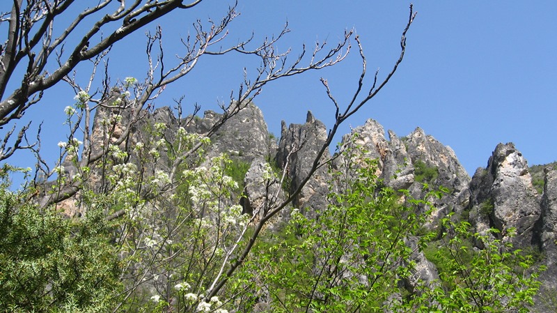 shegava 07