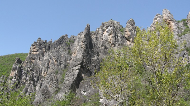 shegava 08