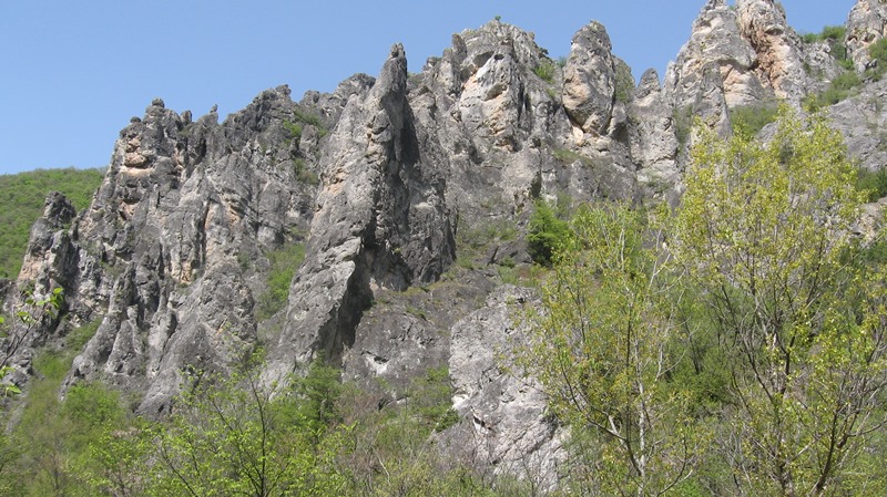 shegava 09