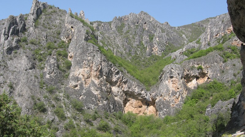 shegava 10