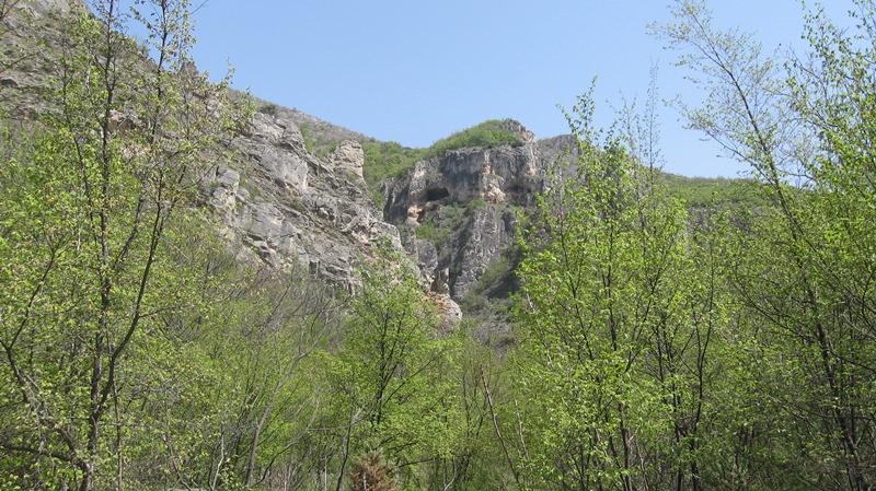 shegava 11