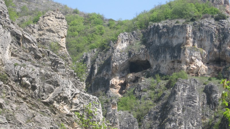 shegava 12