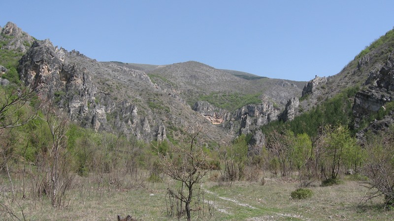 shegava 13