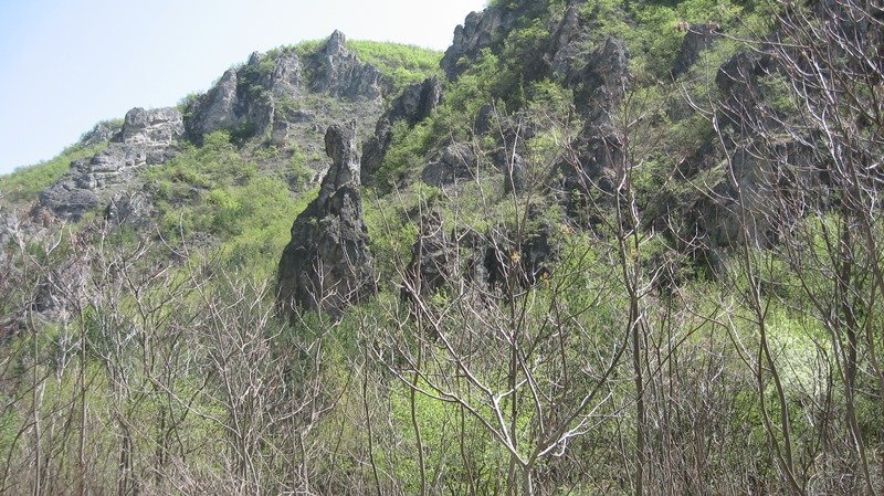 shegava 14