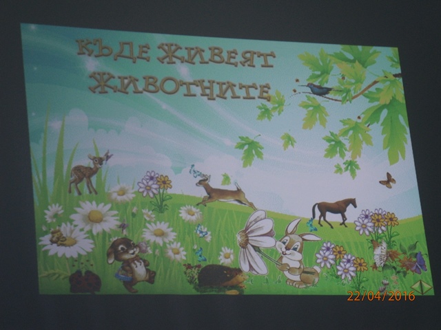 presentation 01