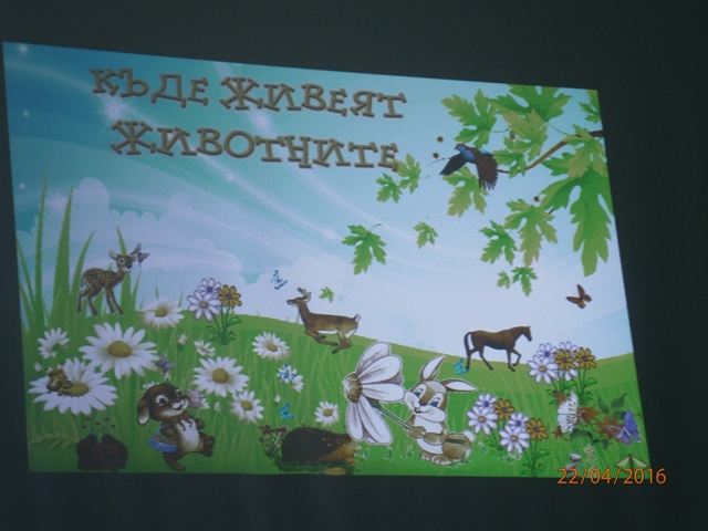 presentation 12