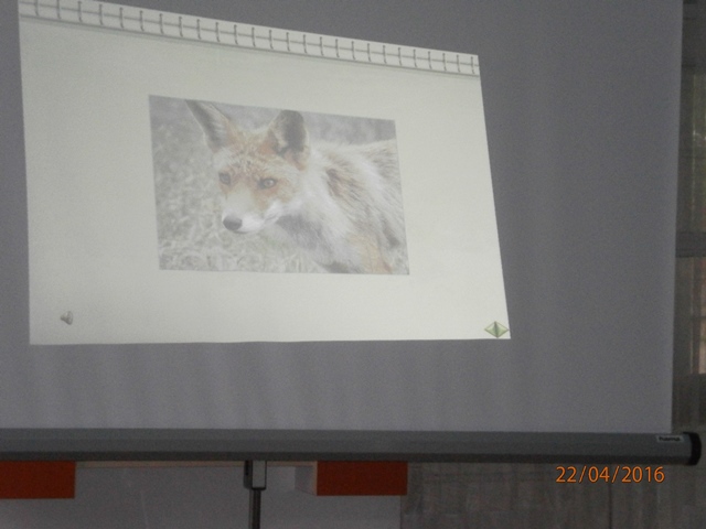 presentation 14