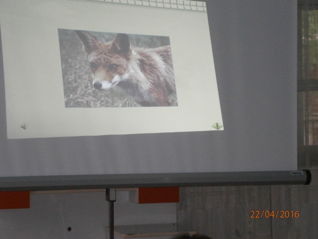 presentation 15