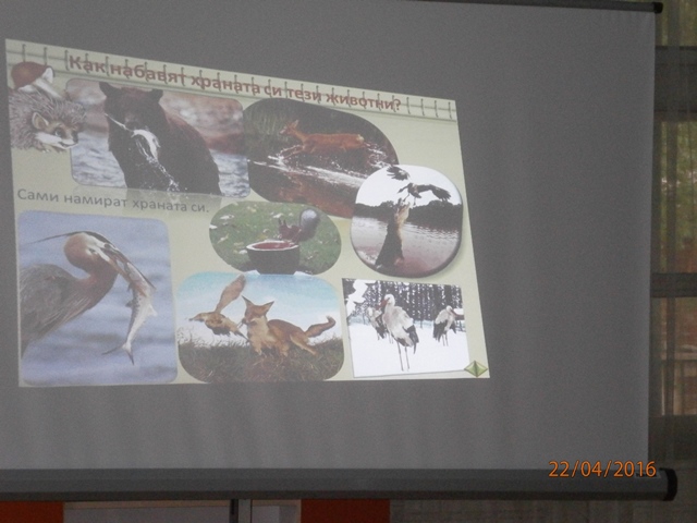 presentation 18