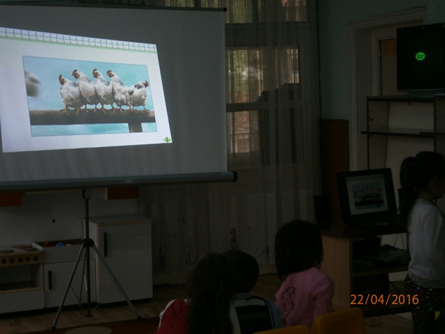 presentation 24