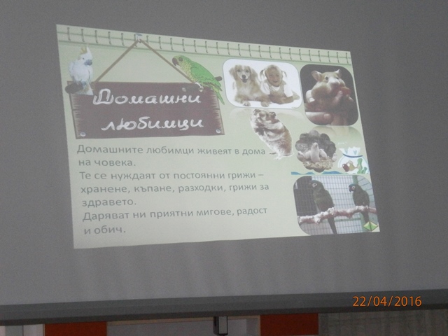 presentation 29