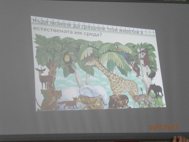 presentation 37