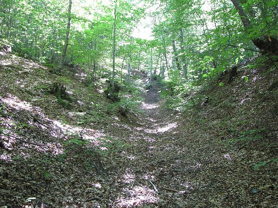 gorata nad selo skrat 78492 31509459