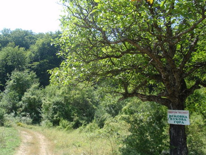 vbg-granica 3