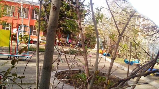 sedmica-gora-06