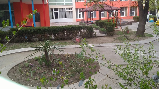 sedmica-gora-11