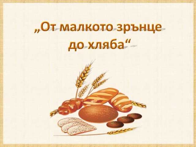 zarno-8