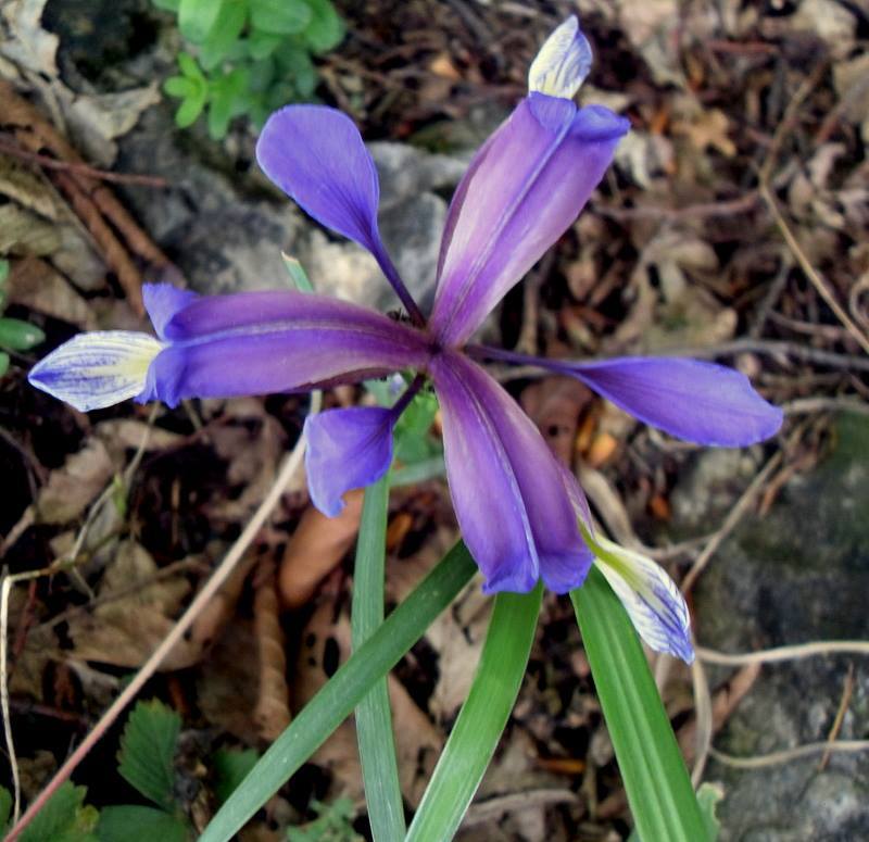 046