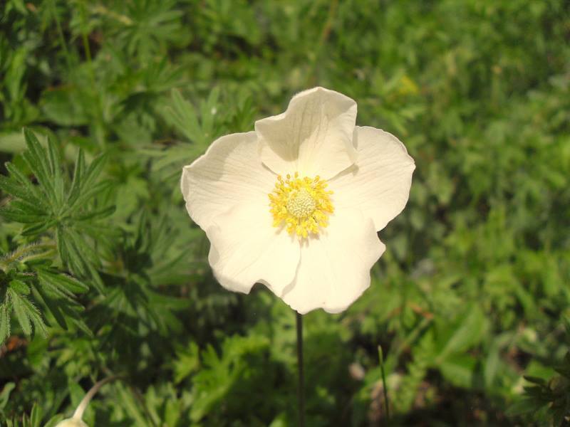 056