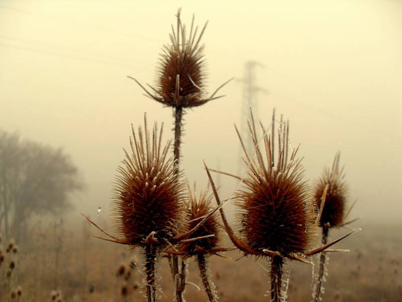 28