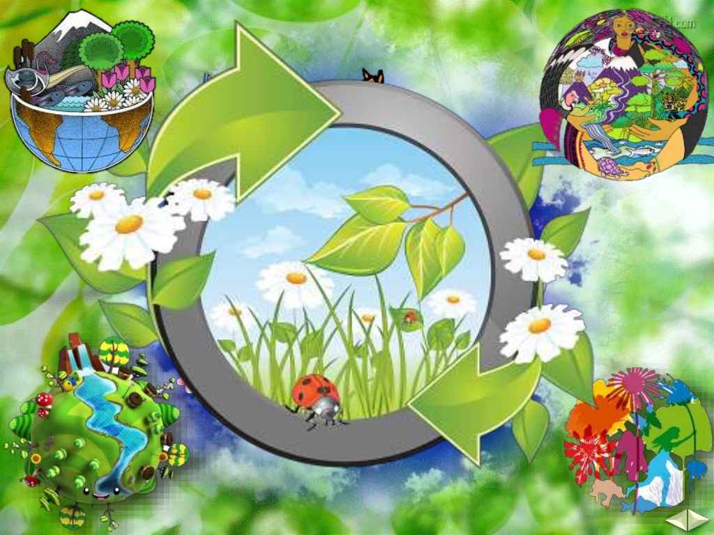 17-03-1024
